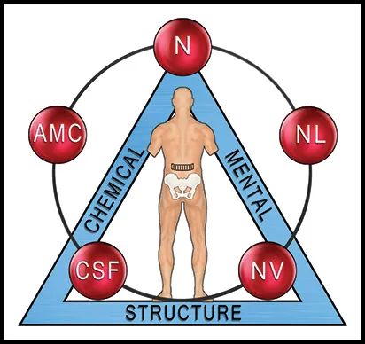 Applied kinesiology diagram showing chemical, mental, and structural balance.